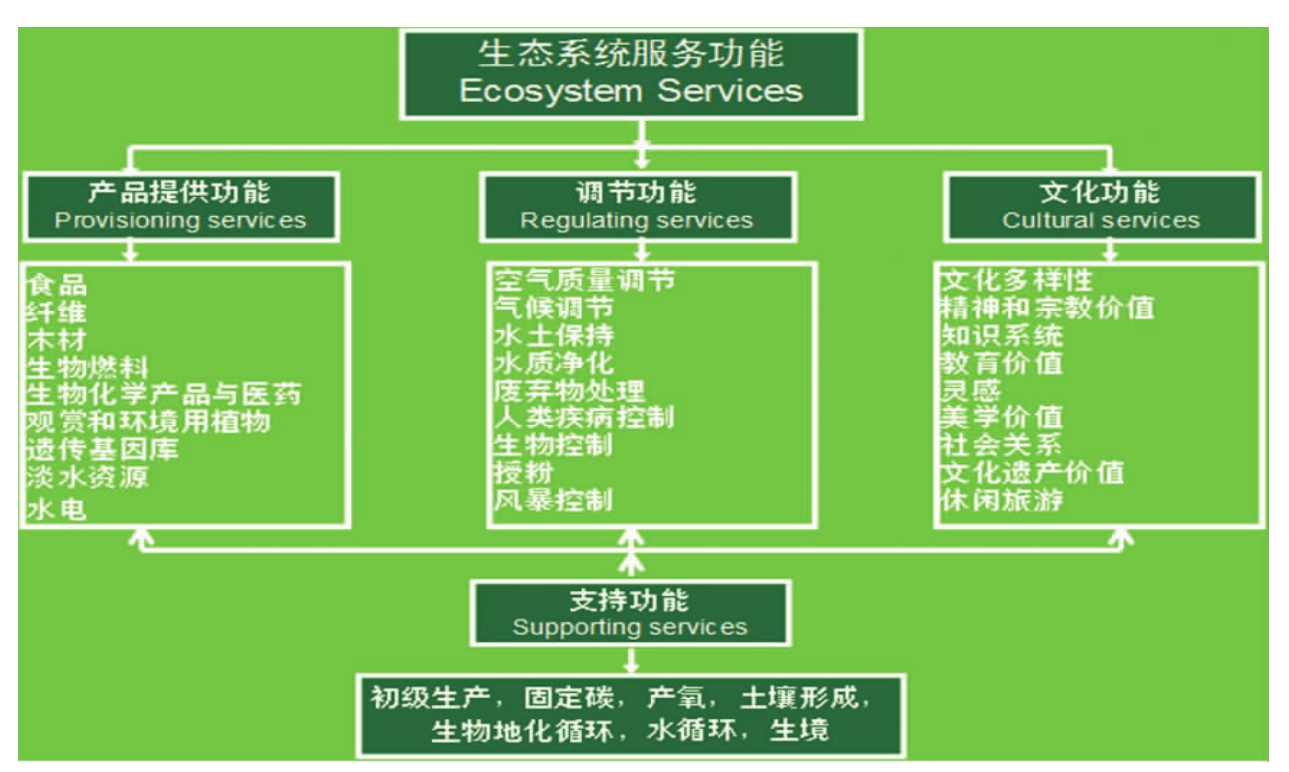 ecosystem乐队队员名字 Ecosystem 乐队：成员如自然元素，音乐如生态系统般和谐美妙