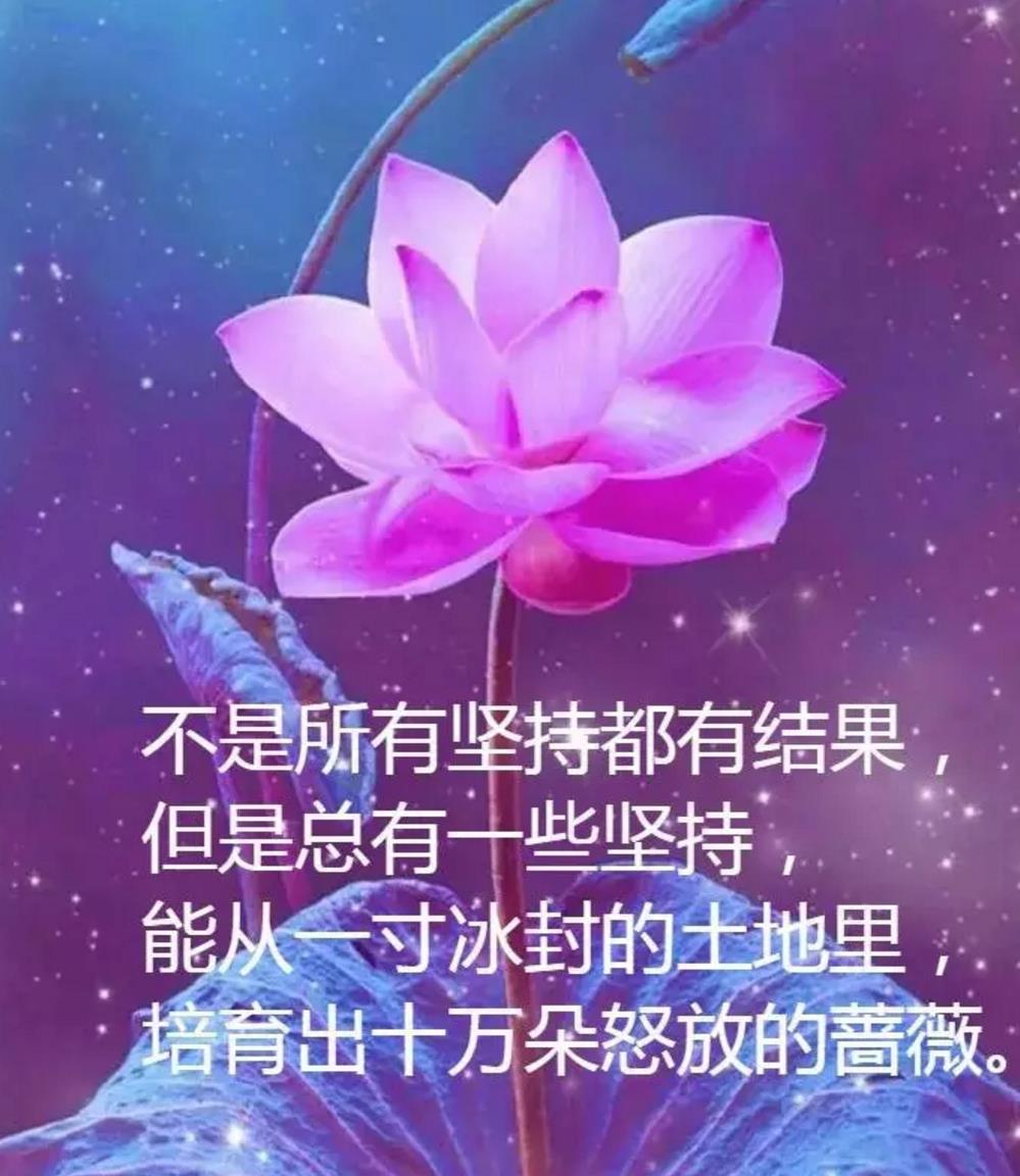 htl乐至宝_乐至宝官网_乐至宝评测