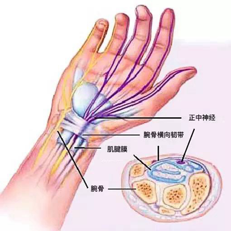 初中图书借阅登记表_初中生图书借阅_初中图书借阅率多少达标