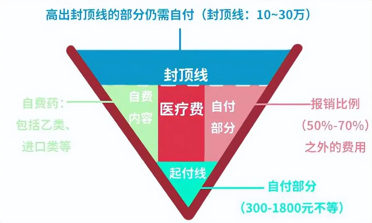 分诊和转诊_分诊转诊系统_转诊分类