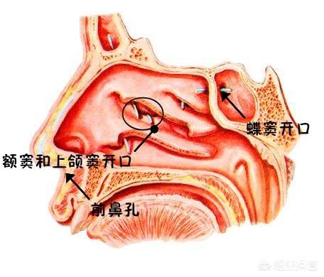 什么叫启动项_启动项1和启动项2_nwiz是什么启动项