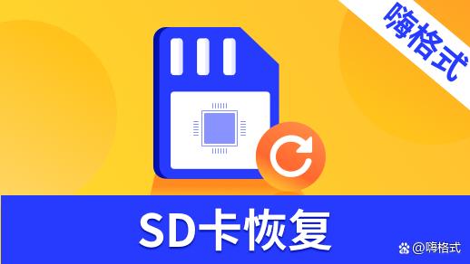 sd卡数据恢复软件哪个好-SD 卡数据丢失怎么办？数据恢复精灵来帮你