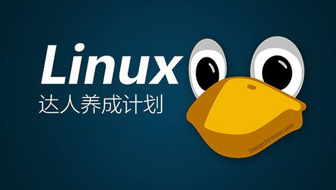 linux实训教程-快来看看我在 Linux 实训中的超酷炫经历