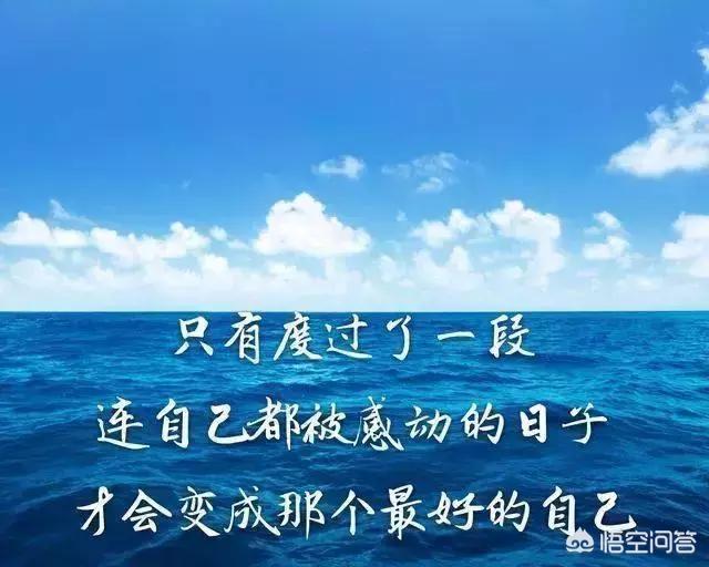 授权委托书标准版_sreng授权_授权委托书模板