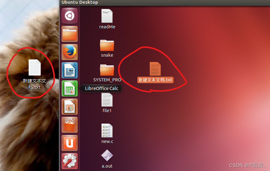 往vmware虚拟机传文件_windows往linux传文件_win传文件到linux