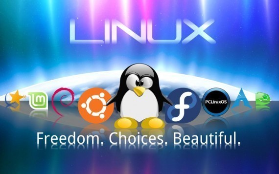 linux服务器与windows_本网站立足于海外服务器服务_海尔维修热水器服务