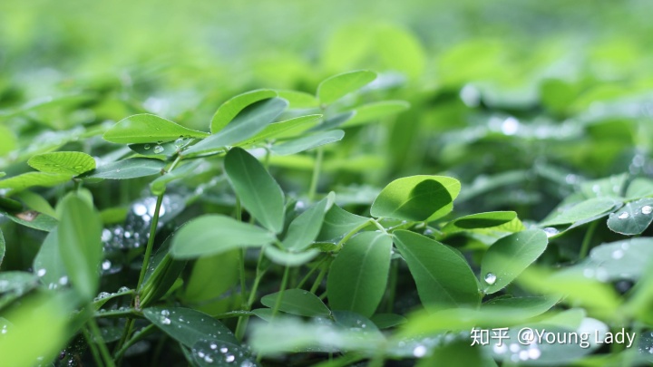 d盘什么都没有_磁盘没有d盘_没有d盘怎么办