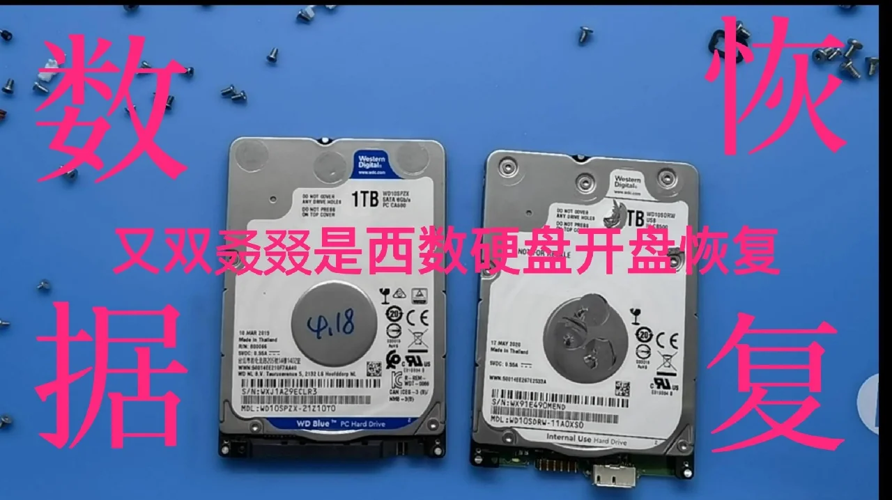 不收费的数据恢复_有没有免费的数据恢复_有恢复免费没数据的app