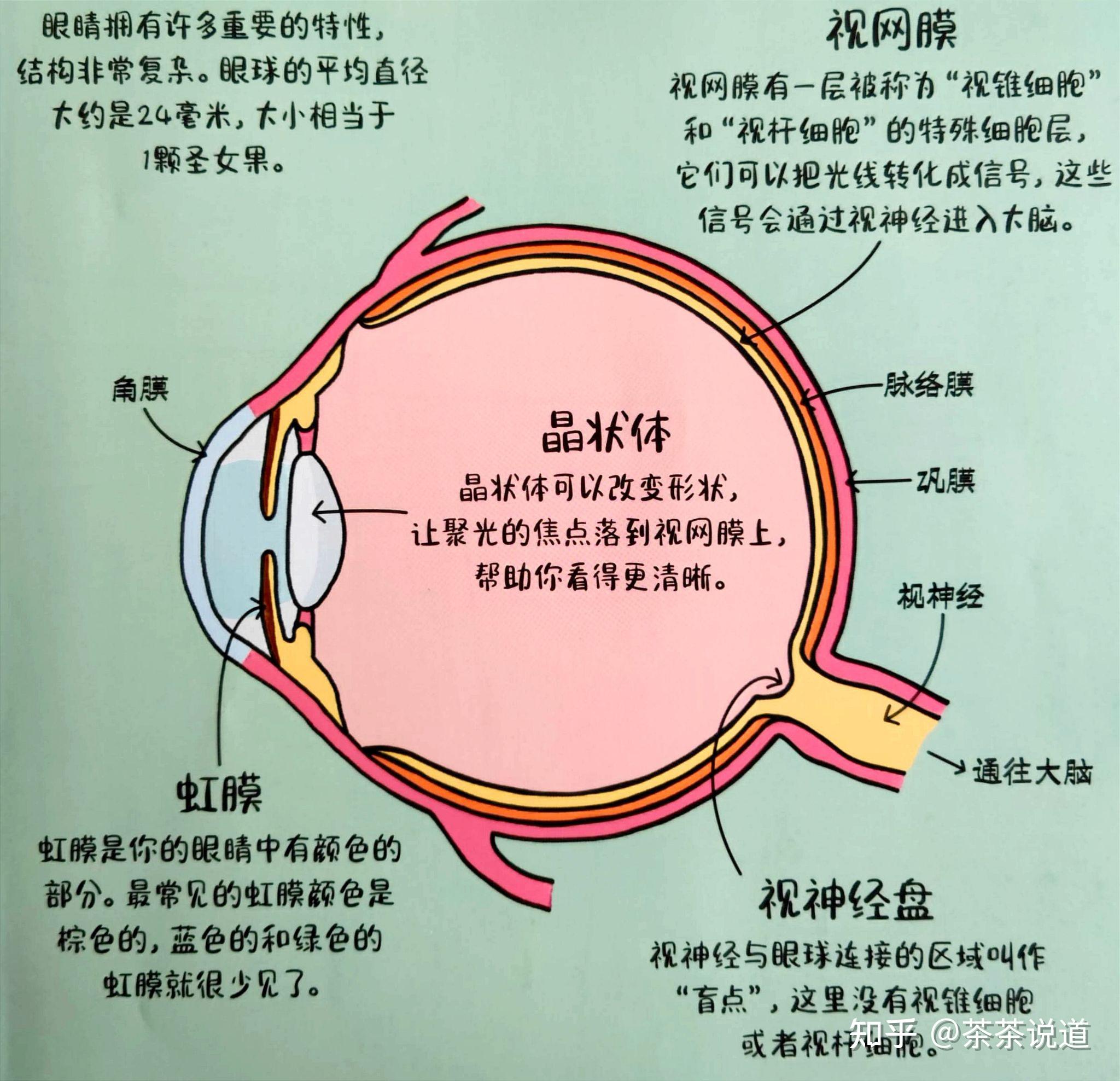 线路控制图_电控系统线路图_线路电控图系统设计