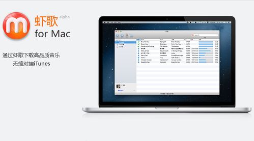 mac系统下载音乐,一步到位的音乐获取指南