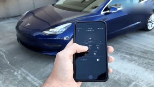 安卓系统下载特斯拉 app,尽在掌握