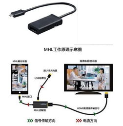 安卓系统手机怎么直播,实现精彩直播体验