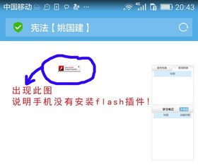 安卓系统不能播放flash,安卓系统Flash播放困境破解指南