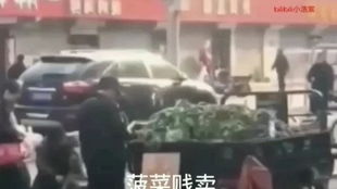 菠菜贱卖