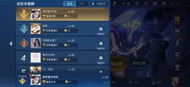 王者安卓系统称呼,系统特色与玩家体验