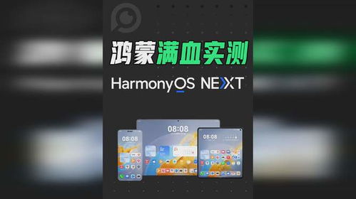 安卓刷鸿蒙系统测试,流畅度与性能提升解析