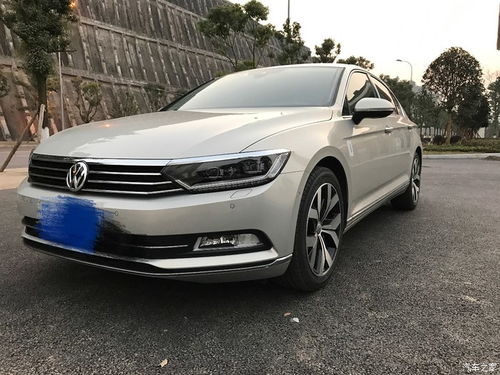 凯撒金