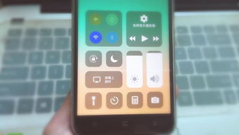 安卓苹果操作系统